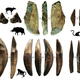 Bone projectile points found at Fa-Hien Lena, and associated prey animals.